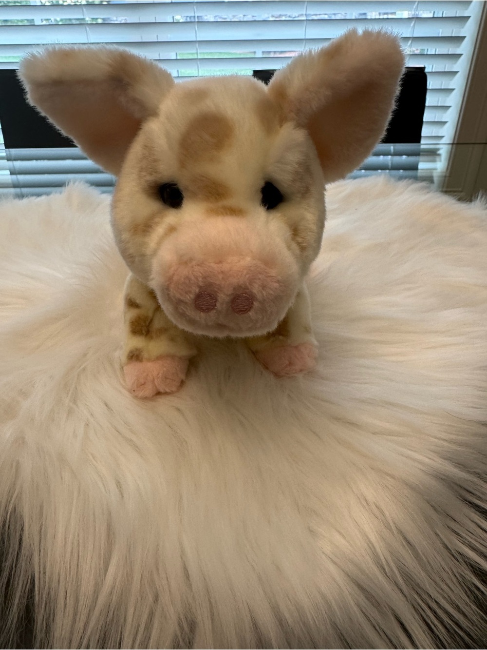 Douglas Plush Piglet Stuffed Animal - Cream and Pink Soft Toy